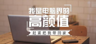 设计中英字体的魅力 图文排版的创意之道